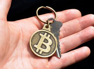 bitcoininvestmentcorp.com